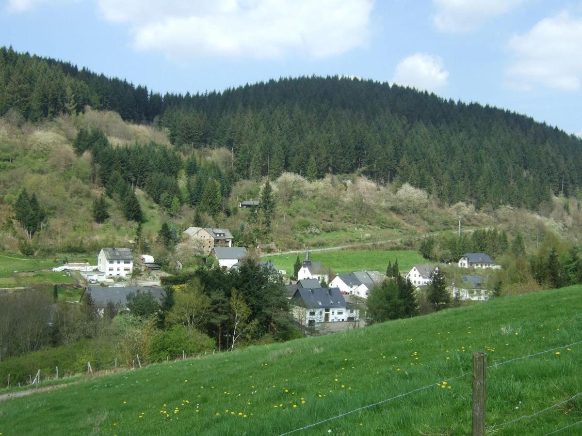 Lavish Apartment In Merschbach Near The Forest Zewnętrze zdjęcie